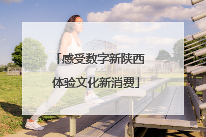 感受数字新陕西 体验文化新消费