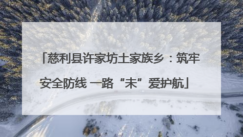 慈利县许家坊土家族乡：筑牢安全防线 一路“未”爱护航