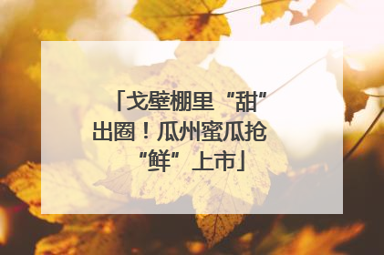 戈壁棚里“甜”出圈！瓜州蜜瓜抢“鲜”上市