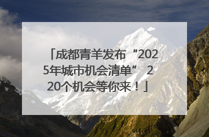 成都青羊发布“2025年城市机会清单” 220个机会等你来！