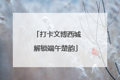 打卡文博西城 解锁端午楚韵