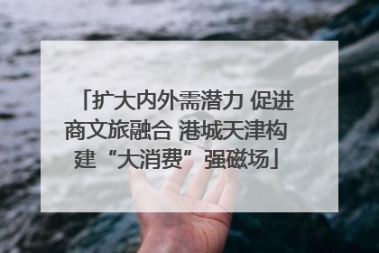 扩大内外需潜力 促进商文旅融合 港城天津构建“大消费”强磁场