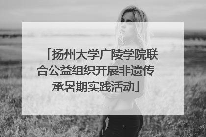 扬州大学广陵学院联合公益组织开展非遗传承暑期实践活动