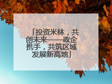 投资米林，共创未来——政企携手，共筑区域发展新高地