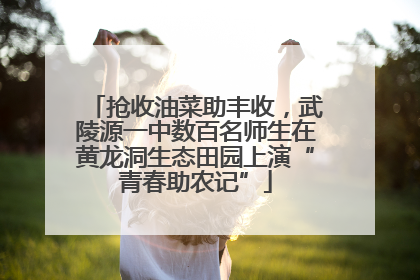 抢收油菜助丰收，武陵源一中数百名师生在黄龙洞生态田园上演“青春助农记”