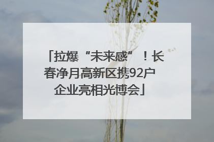 拉爆“未来感”！长春净月高新区携92户企业亮相光博会