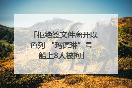 拒绝签文件离开以色列 “玛德琳”号船上8人被拘