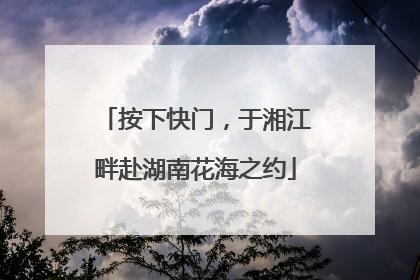按下快门，于湘江畔赴湖南花海之约