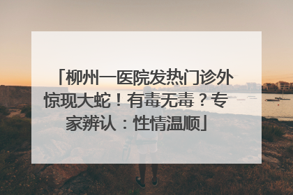 柳州一医院发热门诊外惊现大蛇！有毒无毒？专家辨认：性情温顺