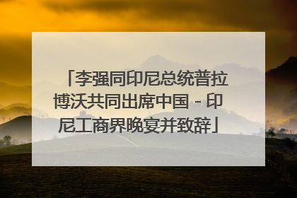 李强同印尼总统普拉博沃共同出席中国－印尼工商界晚宴并致辞