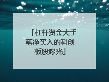 杠杆资金大手笔净买入的科创板股曝光