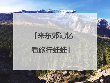 来东郊记忆 看旅行蛙蛙