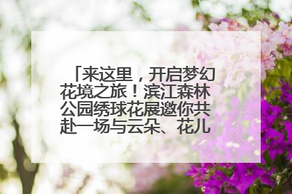 来这里，开启梦幻花境之旅！滨江森林公园绣球花展邀你共赴一场与云朵、花儿的浪漫之约