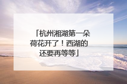 杭州湘湖第一朵荷花开了！西湖的还要再等等