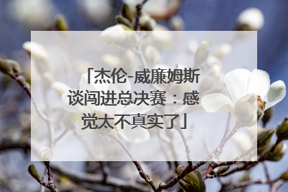 杰伦-威廉姆斯谈闯进总决赛：感觉太不真实了