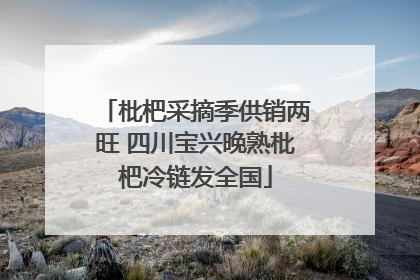枇杷采摘季供销两旺 四川宝兴晚熟枇杷冷链发全国