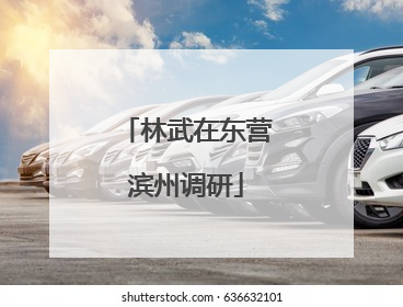 林武在东营滨州调研