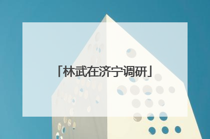 林武在济宁调研