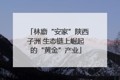 林麝“安家”陕西子洲 生态链上崛起的“黄金”产业
