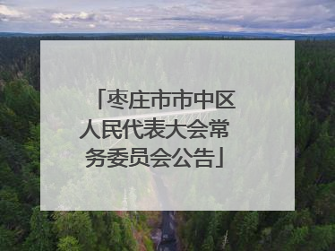 枣庄市市中区人民代表大会常务委员会公告