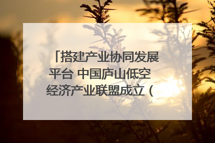 搭建产业协同发展平台 中国庐山低空经济产业联盟成立（组图｜视频）