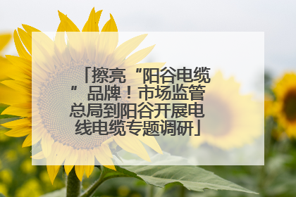 擦亮“阳谷电缆”品牌！市场监管总局到阳谷开展电线电缆专题调研
