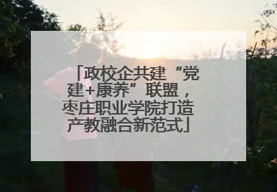 政校企共建“党建+康养”联盟，枣庄职业学院打造产教融合新范式