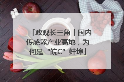 政观长三角丨国内传感器产业高地，为何是“皖C”蚌埠