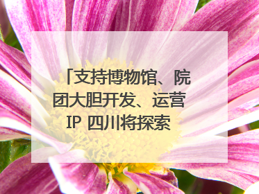 支持博物馆、院团大胆开发、运营IP 四川将探索建立新的收入分配激励机制｜新闻发布最前线