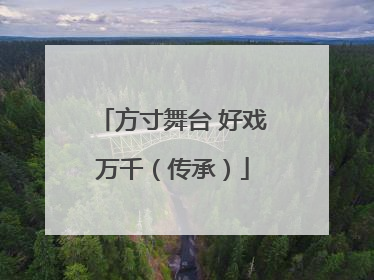 方寸舞台 好戏万千（传承）