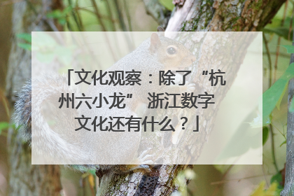 文化观察：除了“杭州六小龙” 浙江数字文化还有什么？