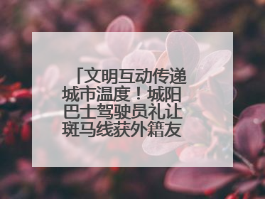 文明互动传递城市温度！城阳巴士驾驶员礼让斑马线获外籍友人鞠躬致谢