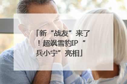 新“战友”来了！超飒雪豹IP“兵小宁”亮相