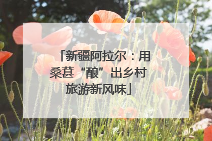 新疆阿拉尔：用桑葚“酿”出乡村旅游新风味