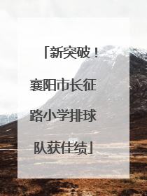 新突破！襄阳市长征路小学排球队获佳绩