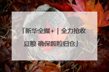 新华全媒+｜全力抢收夏粮 确保颗粒归仓