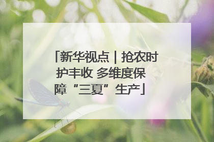 新华视点｜抢农时 护丰收 多维度保障“三夏”生产