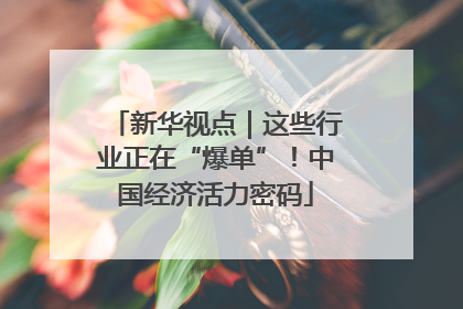 新华视点｜这些行业正在“爆单”！中国经济活力密码