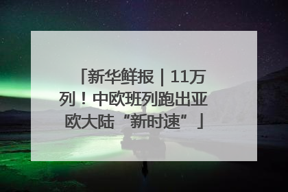 新华鲜报｜11万列！中欧班列跑出亚欧大陆“新时速”