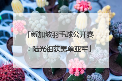 新加坡羽毛球公开赛：陆光祖获男单亚军