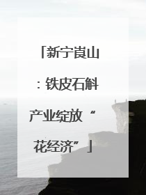 新宁崀山：铁皮石斛产业绽放“花经济”
