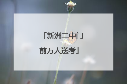 新洲二中门前万人送考