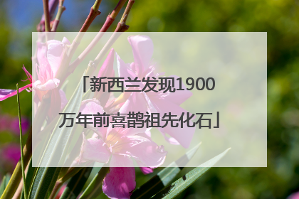新西兰发现1900万年前喜鹊祖先化石