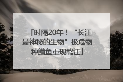 时隔20年！“长江最神秘的生物”极危物种鳤鱼重现赣江