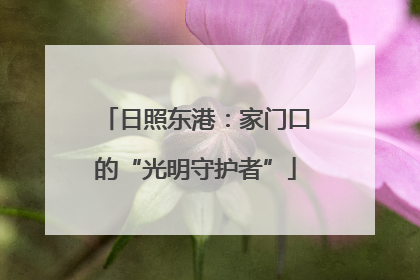 日照东港：家门口的“光明守护者”