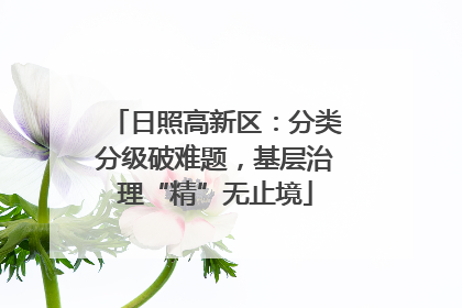 日照高新区：分类分级破难题，基层治理“精”无止境