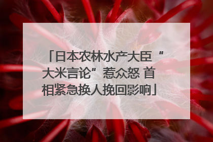 日本农林水产大臣“大米言论”惹众怒 首相紧急换人挽回影响
