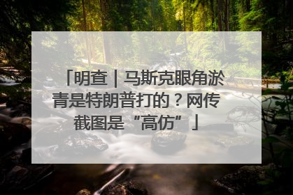 明查｜马斯克眼角淤青是特朗普打的？网传截图是“高仿”