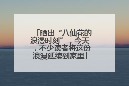 晒出“八仙花的浪漫时刻”，今天，不少读者将这份浪漫延续到家里