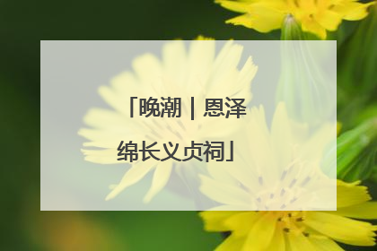 晚潮｜恩泽绵长义贞祠